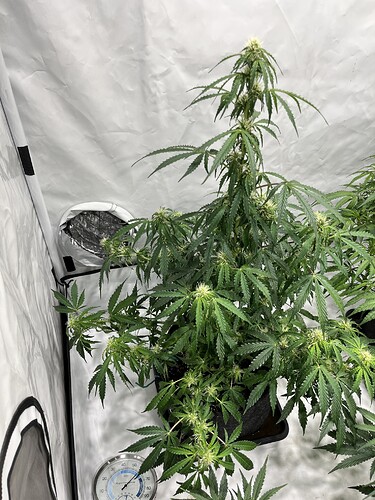 Growreport Bild 15