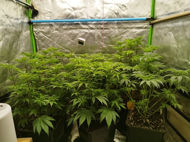 Growreport Bild 1