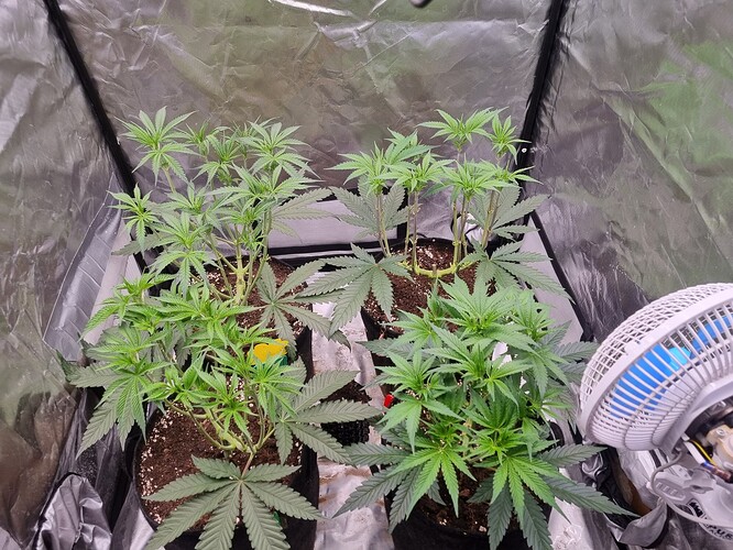 Growreport Bild 26