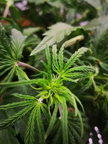 Growreport Bild 2