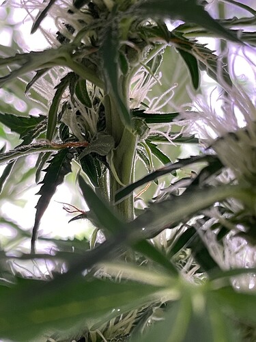 Growreport Bild 8