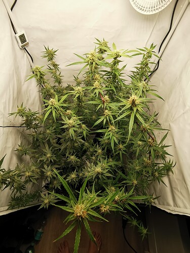Growreport Bild 20