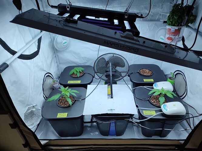 Growreport Bild 25