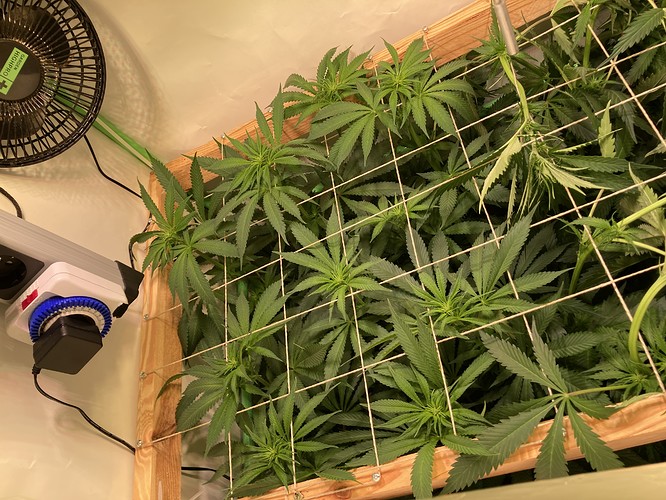 Growreport Bild 6