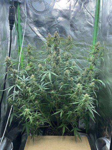Growreport Bild 15