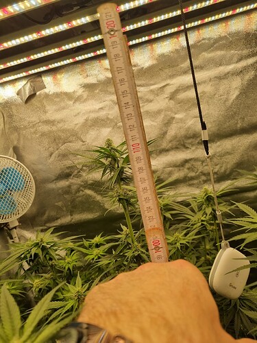 Growreport Bild 11