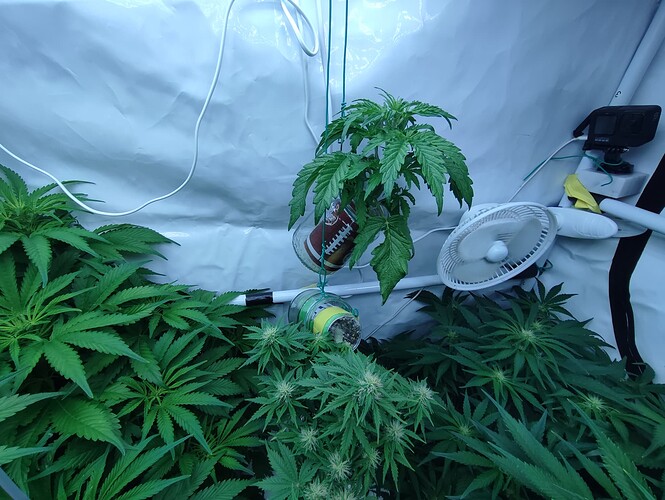 Growreport Bild 14