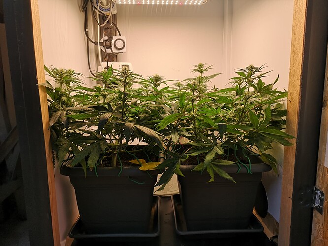 Growreport Bild 2