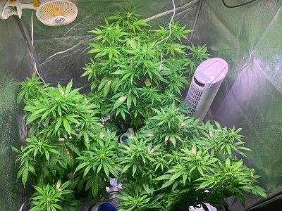 Growreport Bild 25