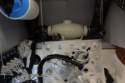 Growreport Bild 14
