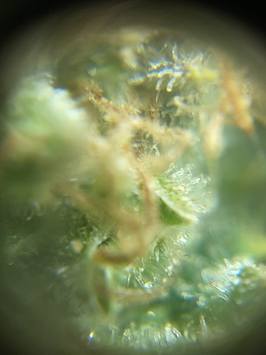 Growreport Bild 24