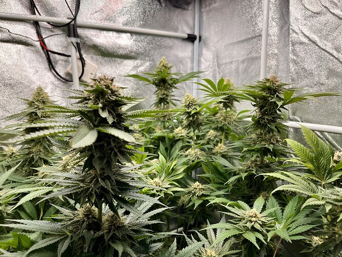 Growreport Bild 8