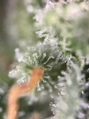 Growreport Bild 2