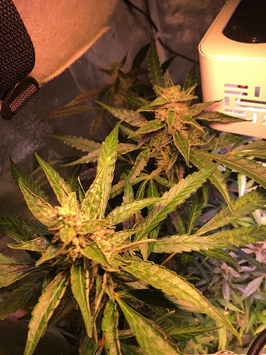 Growreport Bild 12