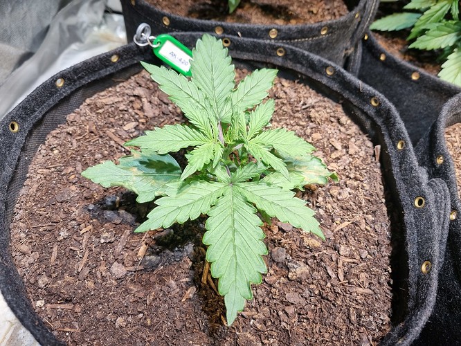 Growreport Bild 8