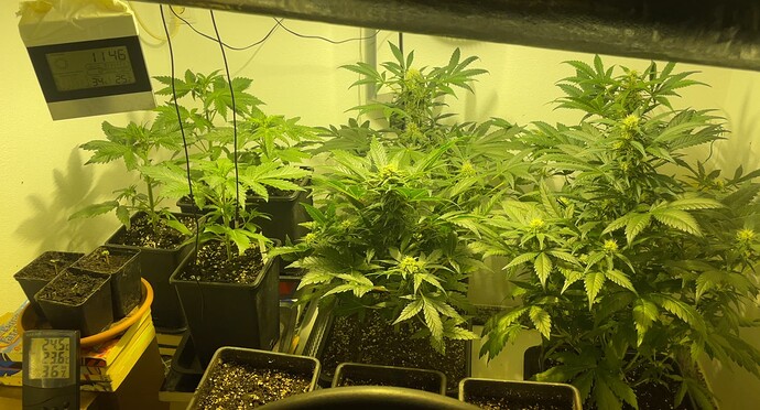 Growreport Bild 4