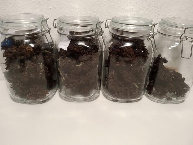 Growreport Bild 8