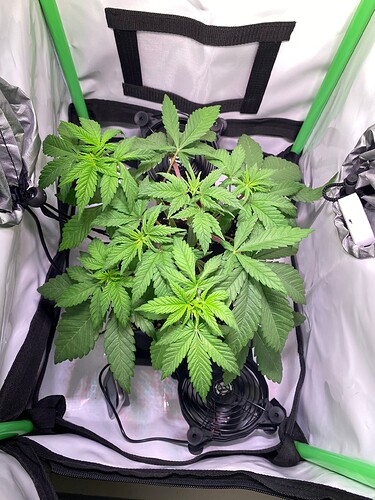 Growreport Bild 10