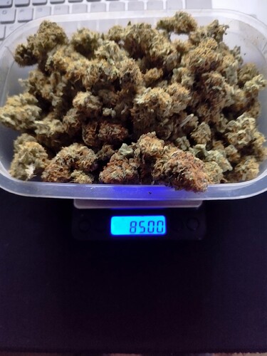 Growreport Bild 22