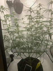 Growreport Bild 6