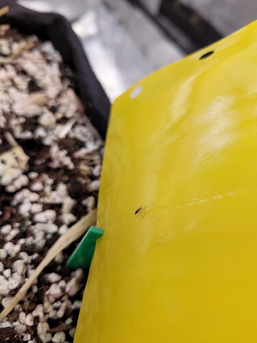 Growreport Bild 1