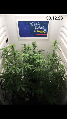 Growreport Bild 15