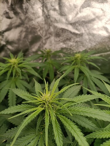 Growreport Bild 5