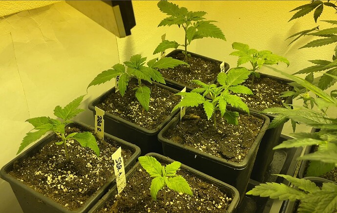 Growreport Bild 8