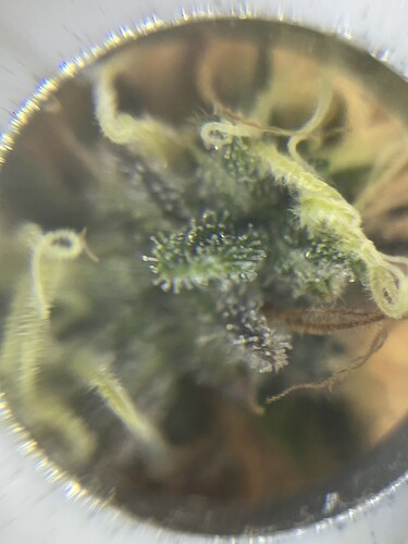 Growreport Bild 20