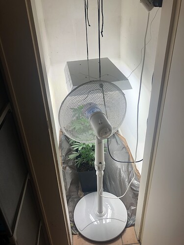 Growreport Bild 4