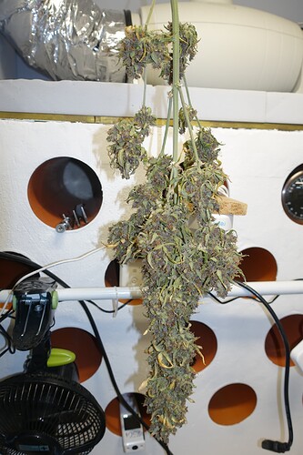 Growreport Bild 1