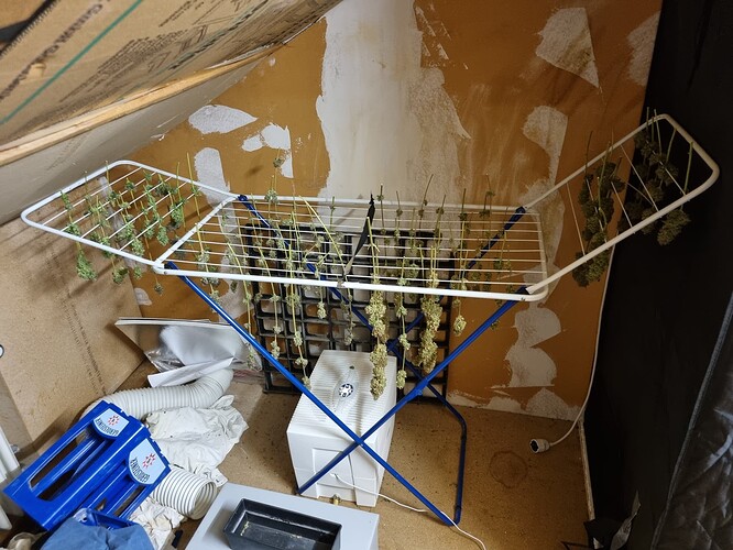 Growreport Bild 3