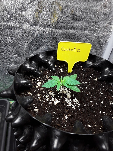 Growreport Bild 9