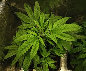 Growreport Bild 10