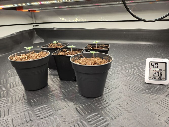 photo_2023-08-03_17-15-49