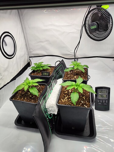 Growreport Bild 8