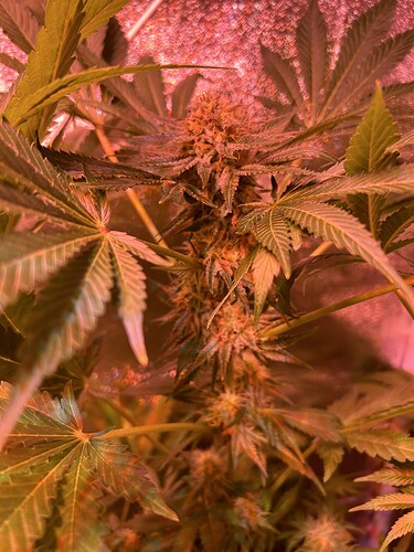Growreport Bild 18
