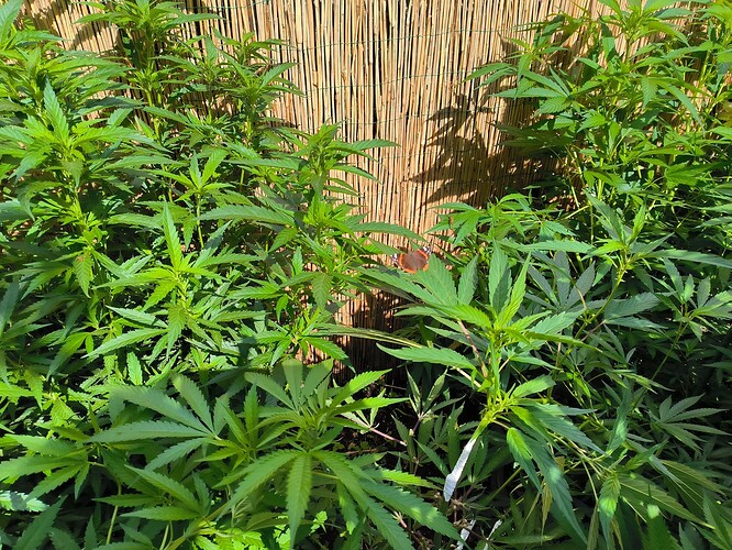 Growreport Bild 22