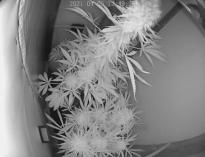 Growreport Bild 7