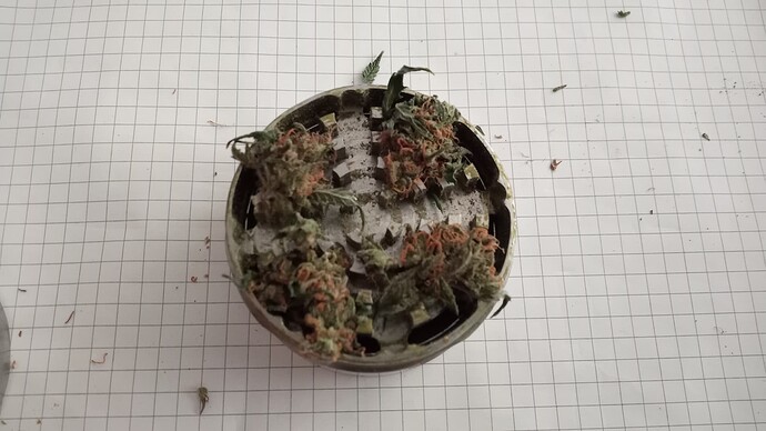 Growreport Bild 18