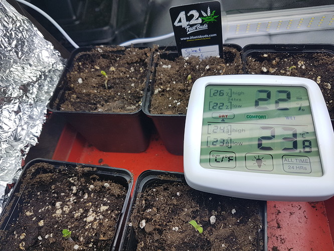 Growreport Bild 8
