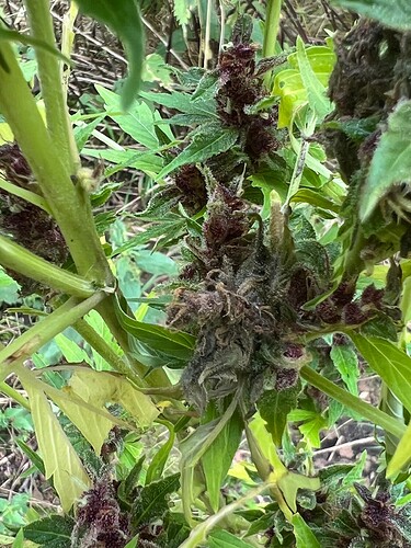 Growreport Bild 14