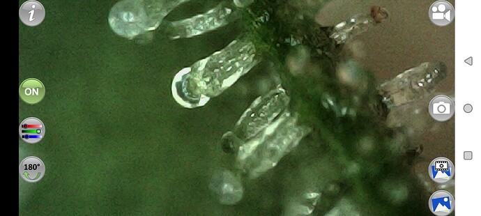 Screenshot_2024-01-04-13-08-55-028_com.zyepro.mobilescopes