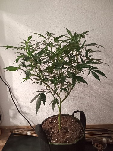 Growreport Bild 16