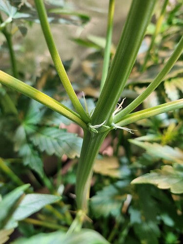 Growreport Bild 23