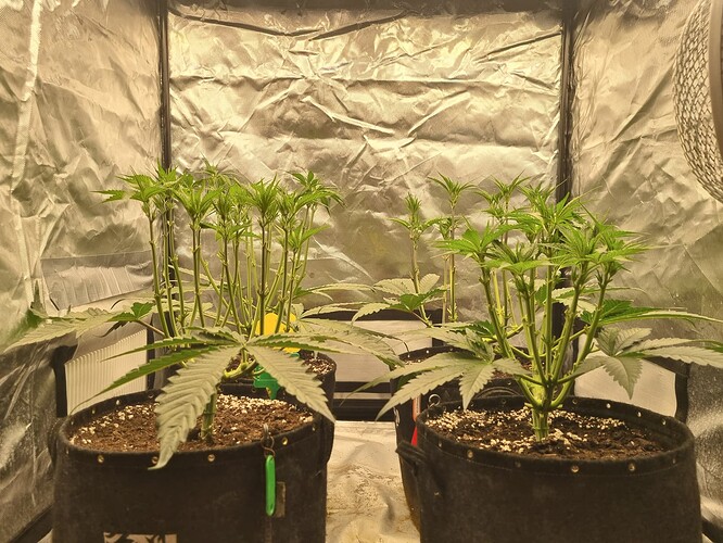 Growreport Bild 19