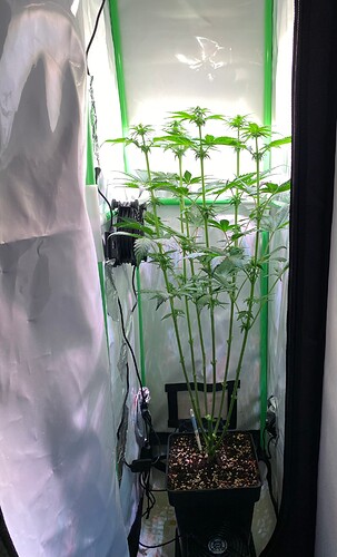 Growreport Bild 2