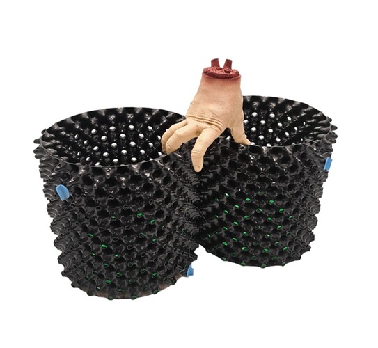 Screenshot_20231124_131706