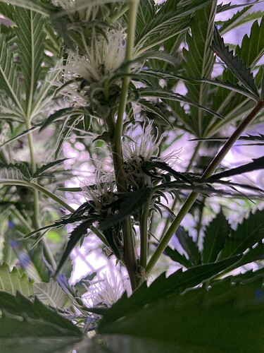 Growreport Bild 10