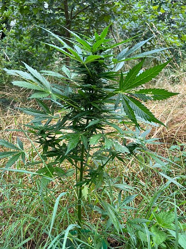 Growreport Bild 9